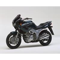 YAMAHA TDM 850 1991-1995